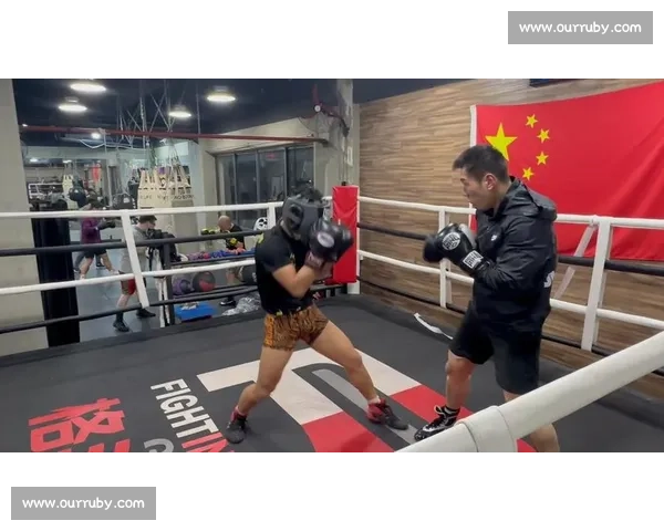 梅拳击比赛激烈对决精彩纷呈拳手们展现超凡技艺成就巅峰荣耀